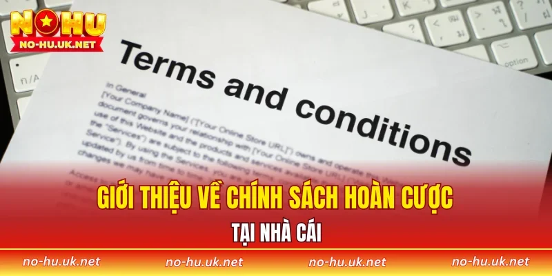 Giới thiệu về chính sách hoàn cược tại nhà cái